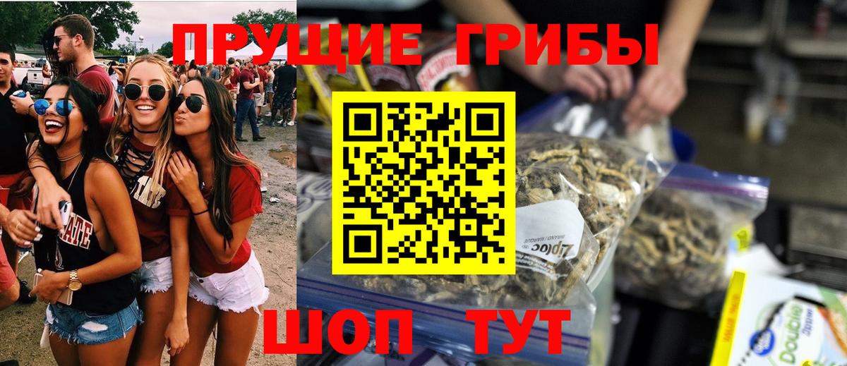 Альметьевск  Псилоцибиновые грибы Cubensis  Вход с VPN  Псилоцибиновые грибы Psilocybe 